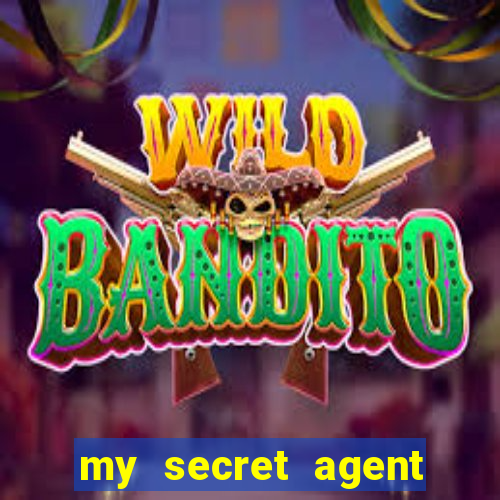 my secret agent husband legendado